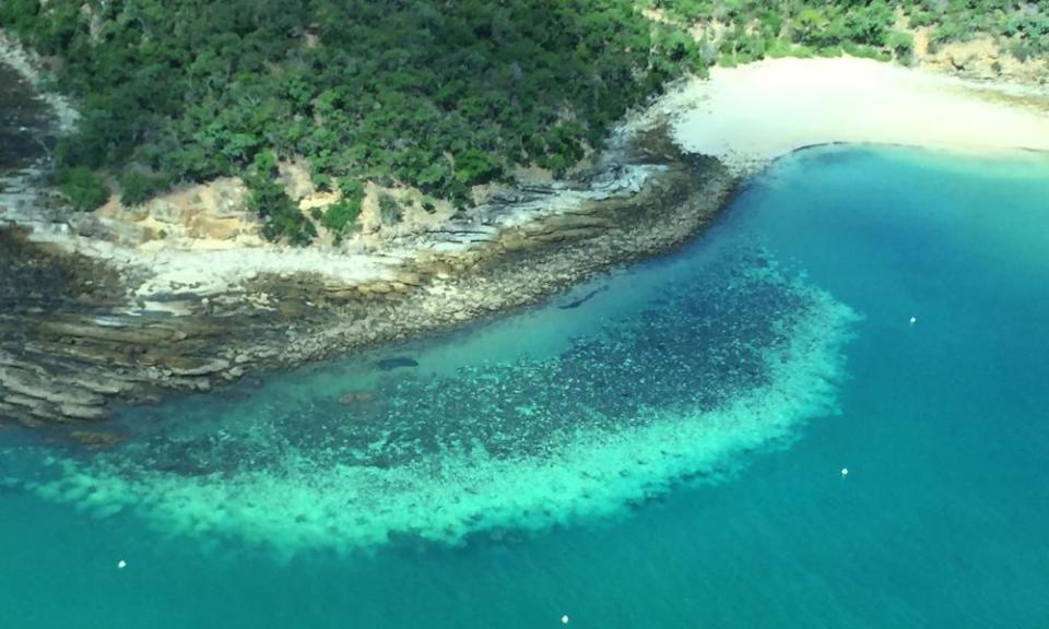 Coral bleaching on the Great Barrier Reef.