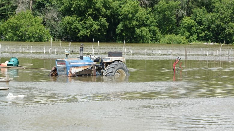 Intense rain floods basements, streets, fields in North Gower