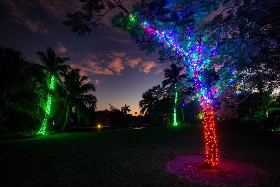 Night Lights in the Garden returns to Naples Botanical Garden this holiday season.