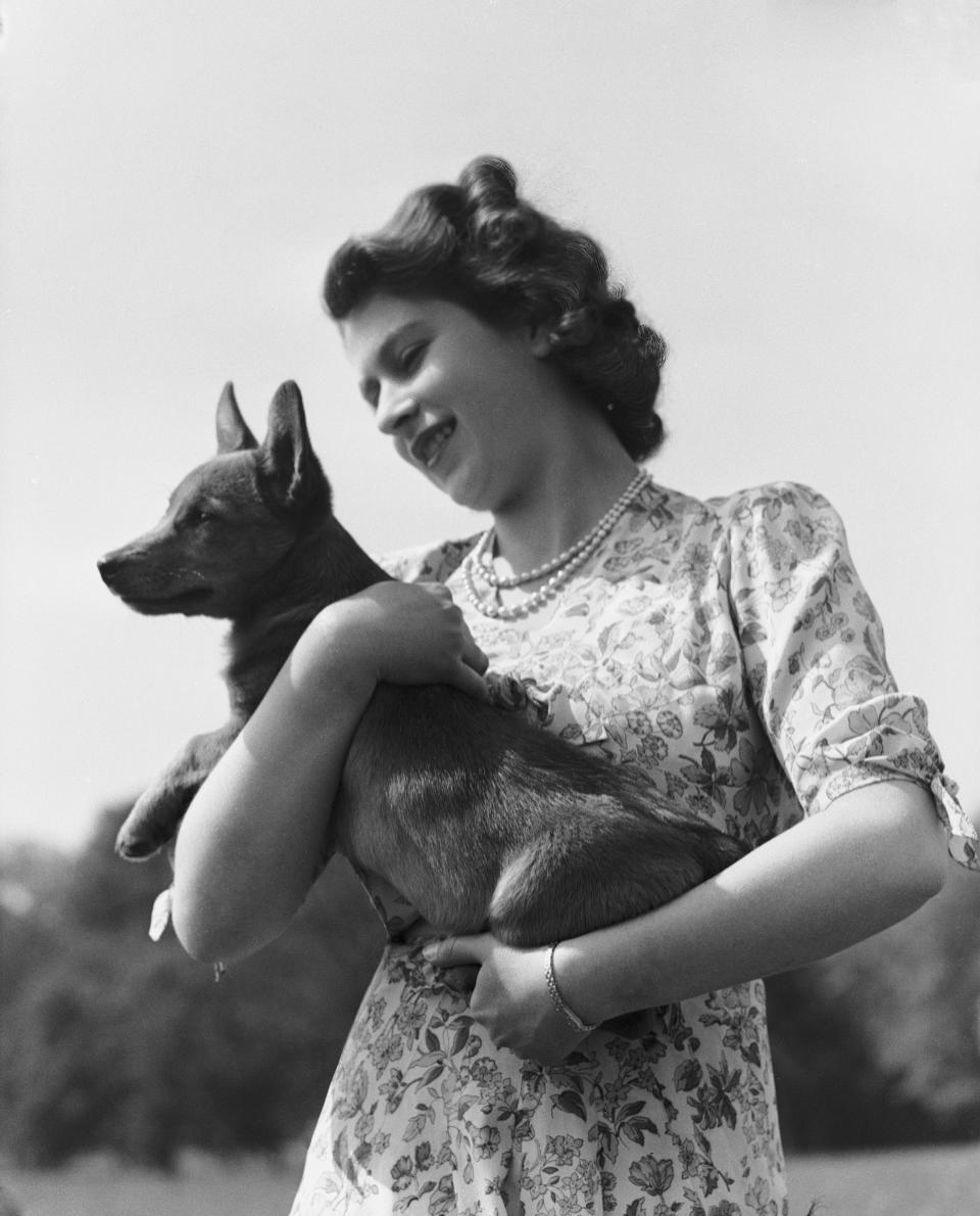 Princess Elizabeth with her pet Corgi Sue or Susan at Windsor Castle, UK, 30th May 1944.  (Photo by Lisa Sheridan/Hulton Archive/Getty Images)