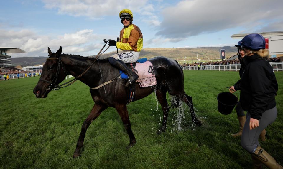 <span>Paul Townend rides Galopin Des Champs as the horse is doused with water after victory in the Gold Cup.</span><span>Photograph: Tom Jenkins/The Guardian</span>