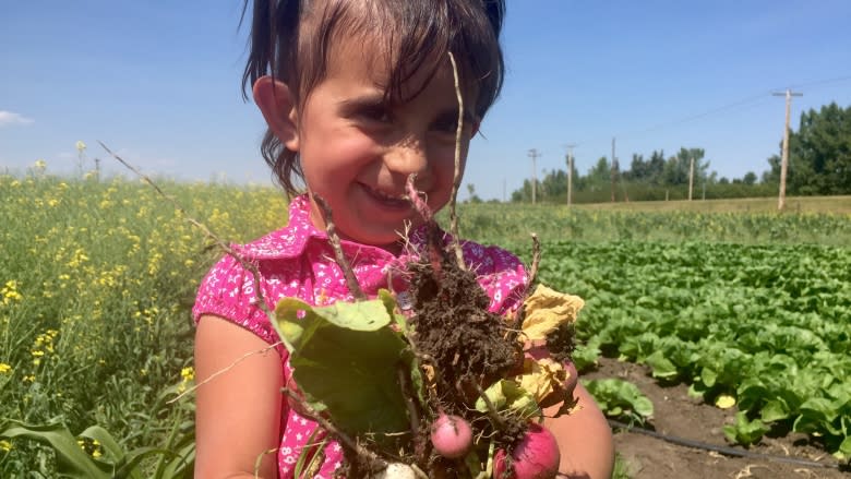 Syrian family's first Alberta harvest nearly ready to eat