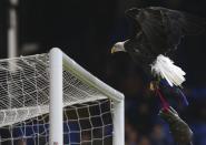 Crystal Palace's eagle mascot flies ahead of their English Premier League soccer match against Everton at Selhurst Park in London, November 9, 2013.