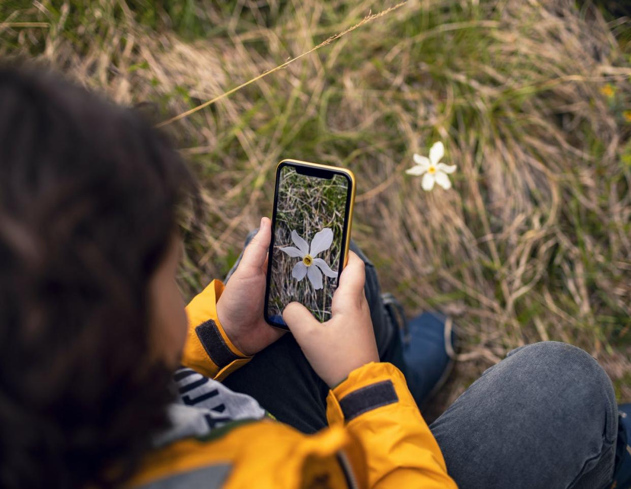 <span class="caption">Many citizen science projects rely on volunteers to collect data in the field.</span> <span class="attribution"><a class="link " href="https://www.gettyimages.com/detail/photo/little-boy-taking-pictures-of-flowers-royalty-free-image/1226977756" rel="nofollow noopener" target="_blank" data-ylk="slk:Marko Geber/DigitalVision via Getty Images;elm:context_link;itc:0;sec:content-canvas">Marko Geber/DigitalVision via Getty Images</a></span>
