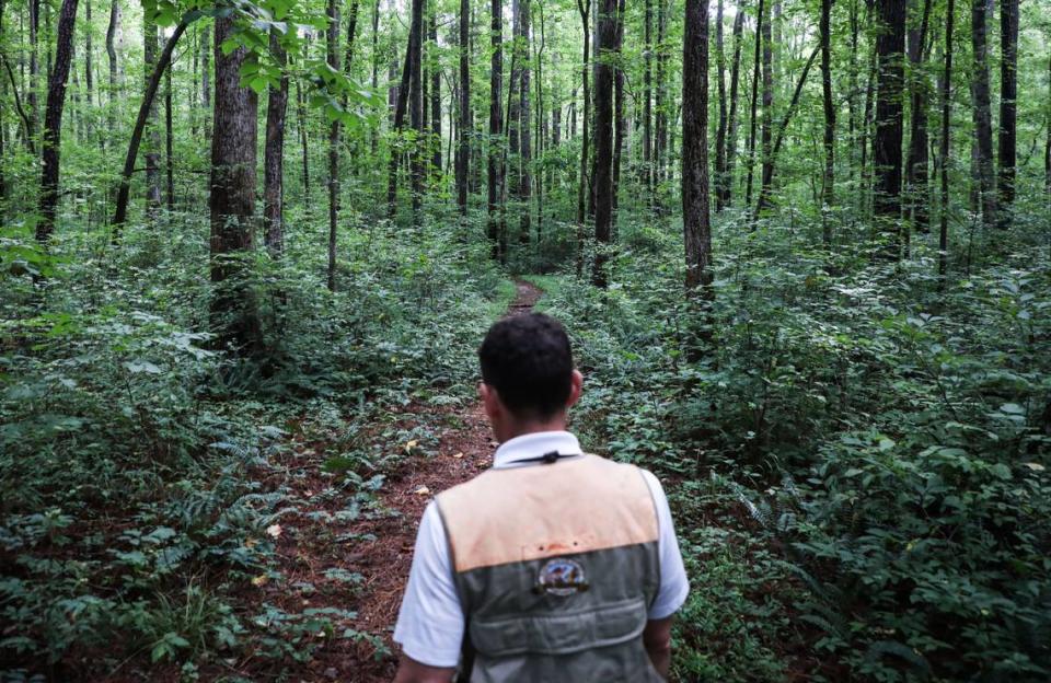 North Carolina’s winning Airbnb is near Uwharrie National Forest, seen in this file photo. Julia Wall/jwall@newsobserver.com