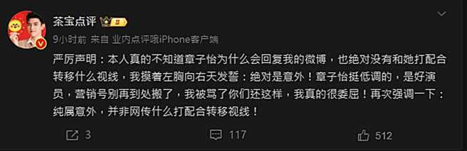 網友澄清沒有跟章子怡套好，是意外被罵。（圖／翻攝自微博）