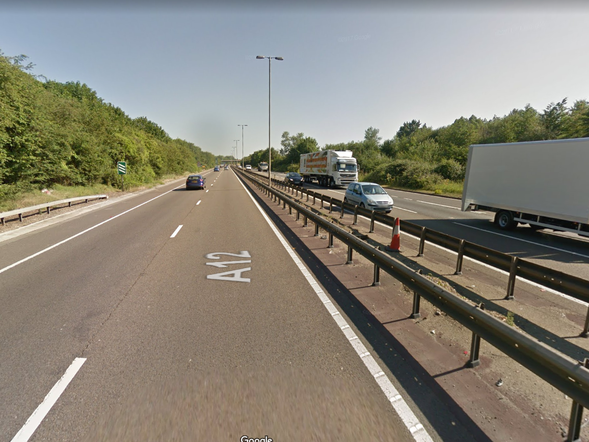 Nine cows die on A12 after straying onto dual carriageway: Google Maps