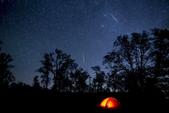 Perseid meteors light up the sky above California's Berryessa-Snow Mountain National Monument in August 2015.