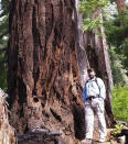 In this undated photo provided by Oregon Wild, Steve Pedery poses for a photo in the Mount Jefferson area in Oregon. Oregonians are grieving the loss of some of their most treasured natural places after wildfires wiped out campgrounds, hot springs and wooded retreats that have been touchstones for generations in a state known for its unspoiled beauty. "It's difficult to overstate how emotionally impactful this is for people who love the land in those places, whether they're locals or they're people who would only visit it once a year," said Pedery of Oregon Wild. (Oregon Wild via AP)