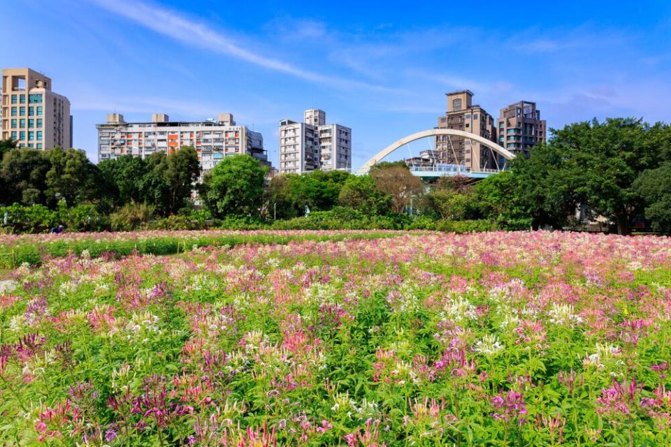 圖／台北市公園路燈工程管理處提供