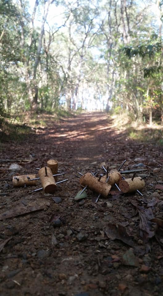 Paul Roberts made the disturbing discovery during a morning walk on the Marmong Point trail. Source: Facebook