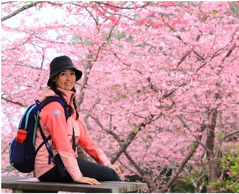 高雄「寶山二集團櫻花公園