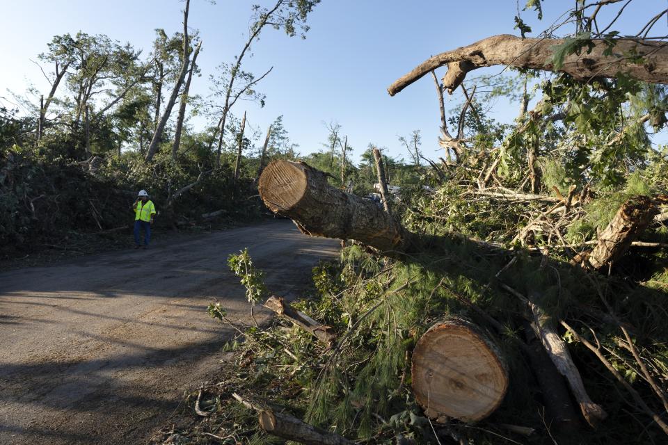 A worker stands amidst downed trees, Friday, Aug. 18, 2023, in Scituate, R.I., after severe weather swept through the area. (AP Photo/Michael Dwyer)