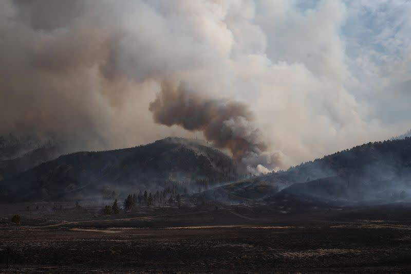 The Wider Image: Oregon inmates find redemption in fighting wildfires