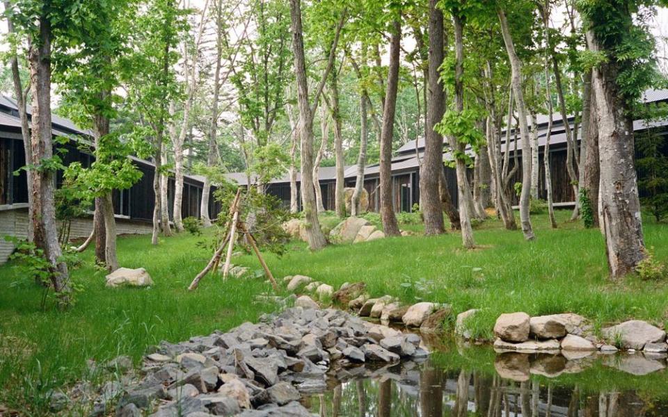 Zaborin Ryokan, in Niseko, is set in the Hanazono woods.