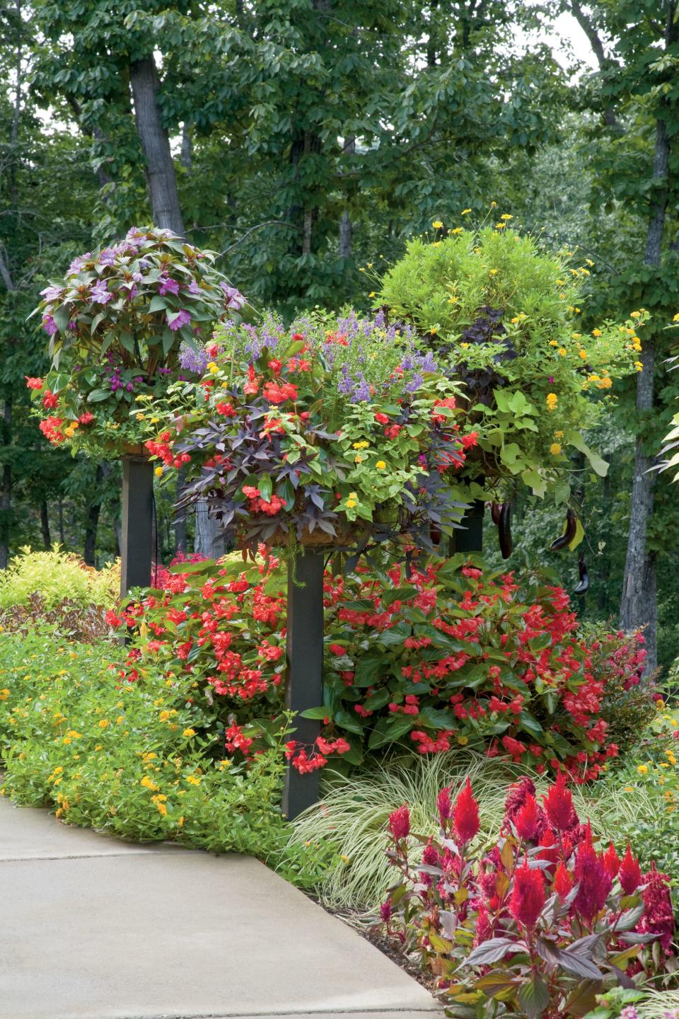 Raised Baskets