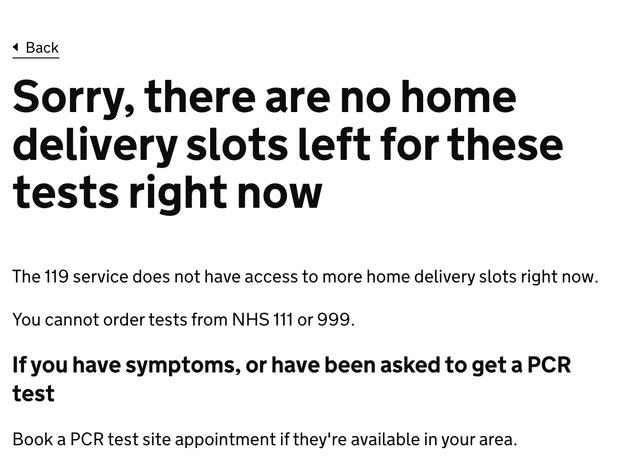 There are no home delivery slots available for lateral flow tests (Photo: gov.uk)