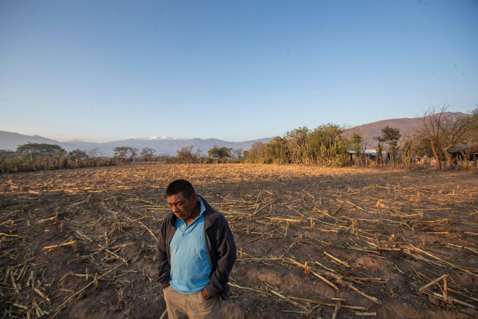 Francisco Sical lives on a plot of agricultural land in Baja Verapaz, Guatemala.