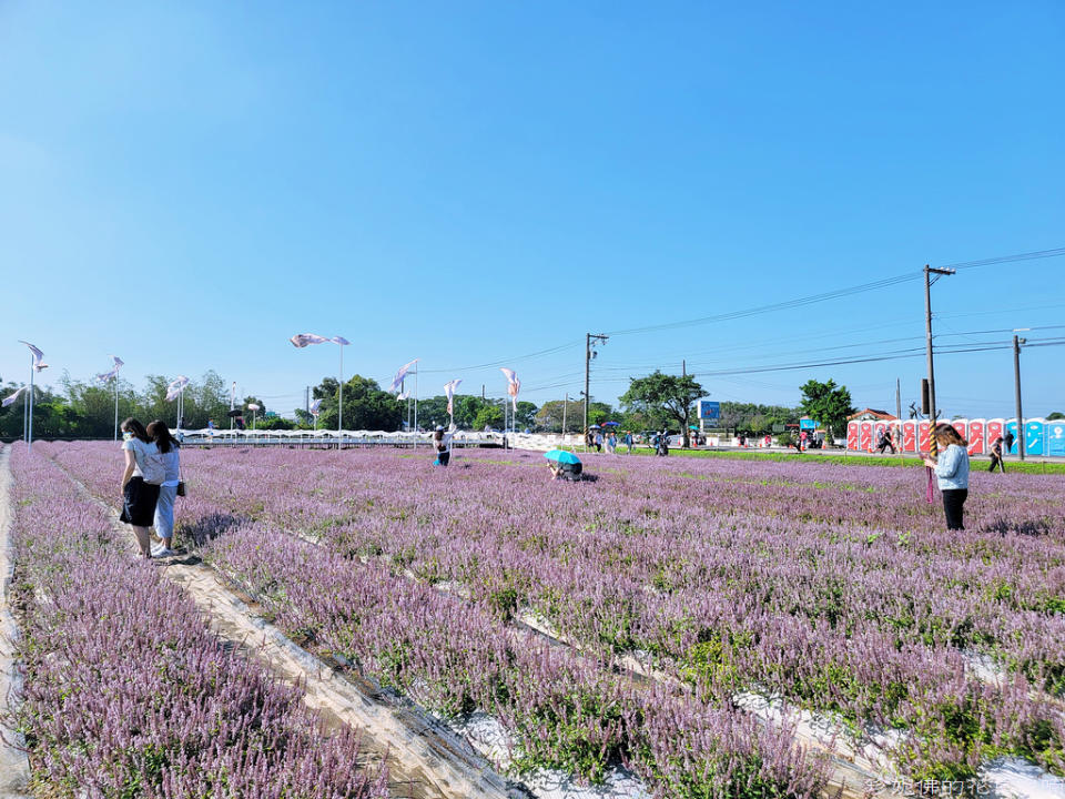 2022桃園仙草花節～仙茶之舞