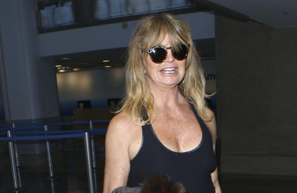 Goldie Hawn loves being a grandma credit:Bang Showbiz