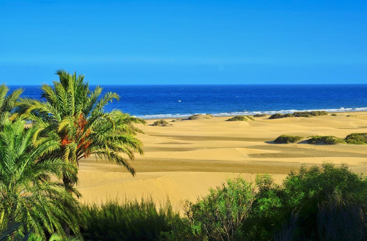 sex in dunes of maspalomas swinger