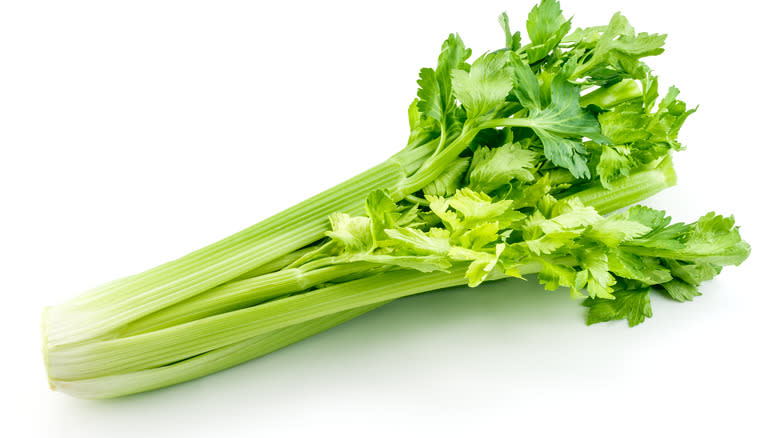 Fresh celery on white background