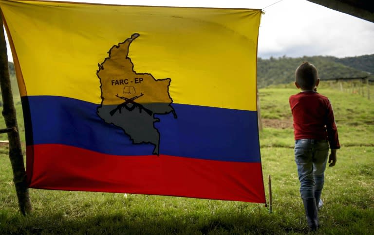 A boy stands next to a FARC-EP flag in the group's birthplace in Marquetalia, center-west Colombia