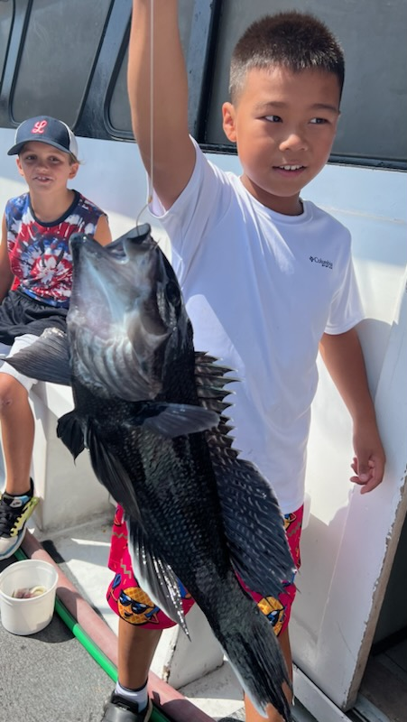 Many full limits this week of black sea bass and summer flounder (fluke) by youth and adult anglers on Point Judith Frances Fleet party boats.