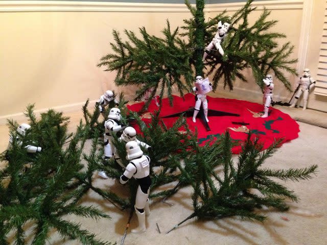 Branches are going up, troopers are climbing high