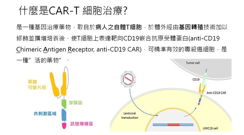 CAR-T細胞治療介紹（圖／三軍總醫院提供）