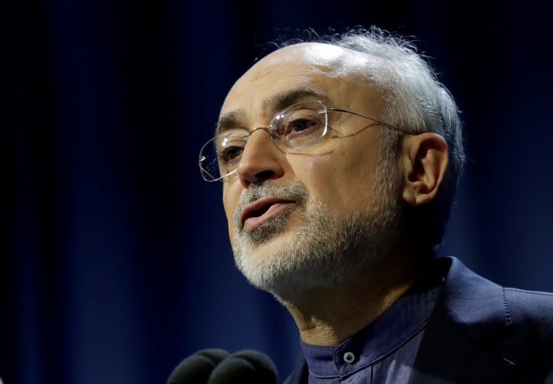 FILE PHOTO: Ali Akbar Salehi, head of the Atomic Energy Organization of Iran, attends a session of the International Atomic Energy Agency (IAEA) General Conference in Vienna