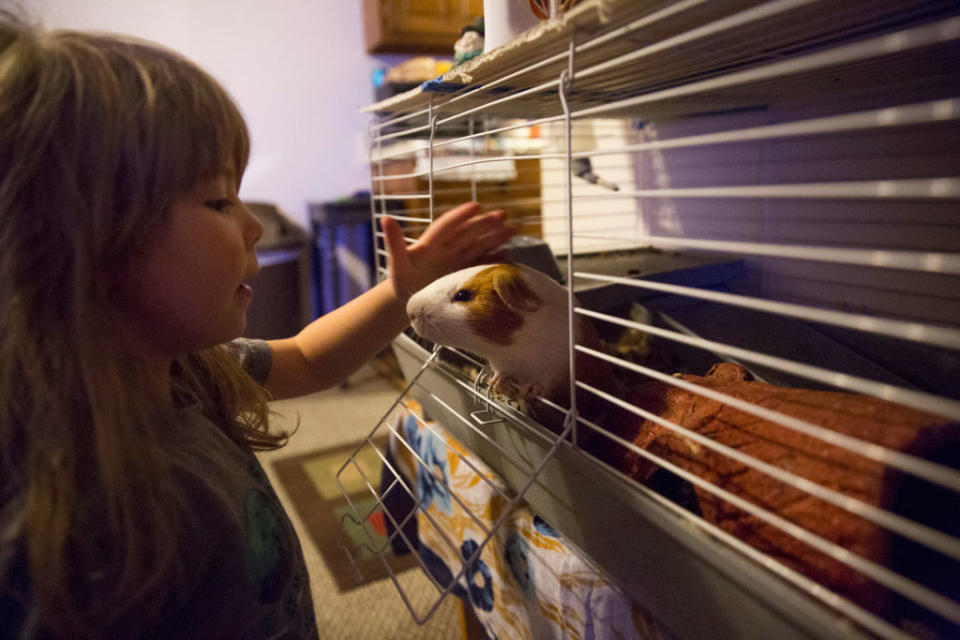 Across Canada, landlords who don’t want animals in their buildings can, and do, refuse to rent to pet-owners.