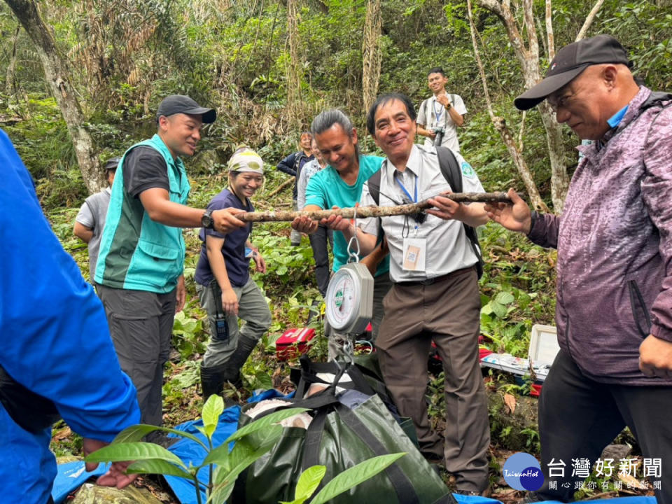 救傷教育訓練於山林實地演練黑熊救傷的流程及注意事項，未來若不幸有救傷事件發生時能縮短救援時間，提高救傷個體重返山林的機率。（圖/玉管處提供）