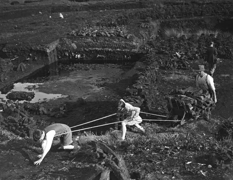 Dos niños del condado de Antrim ayudan a subir la cosecha de turba de las turberas del Ulster, Irlanda del Norte, el 5 de septiembre de 1933.