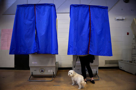 FILE PHOTO: A voter with her dog casts her ballot in the Pennsylvania primary at a polling place in Philadelphia, Pennsylvania, U.S., April 26, 2016. REUTERS/Charles Mostoller/File Photo