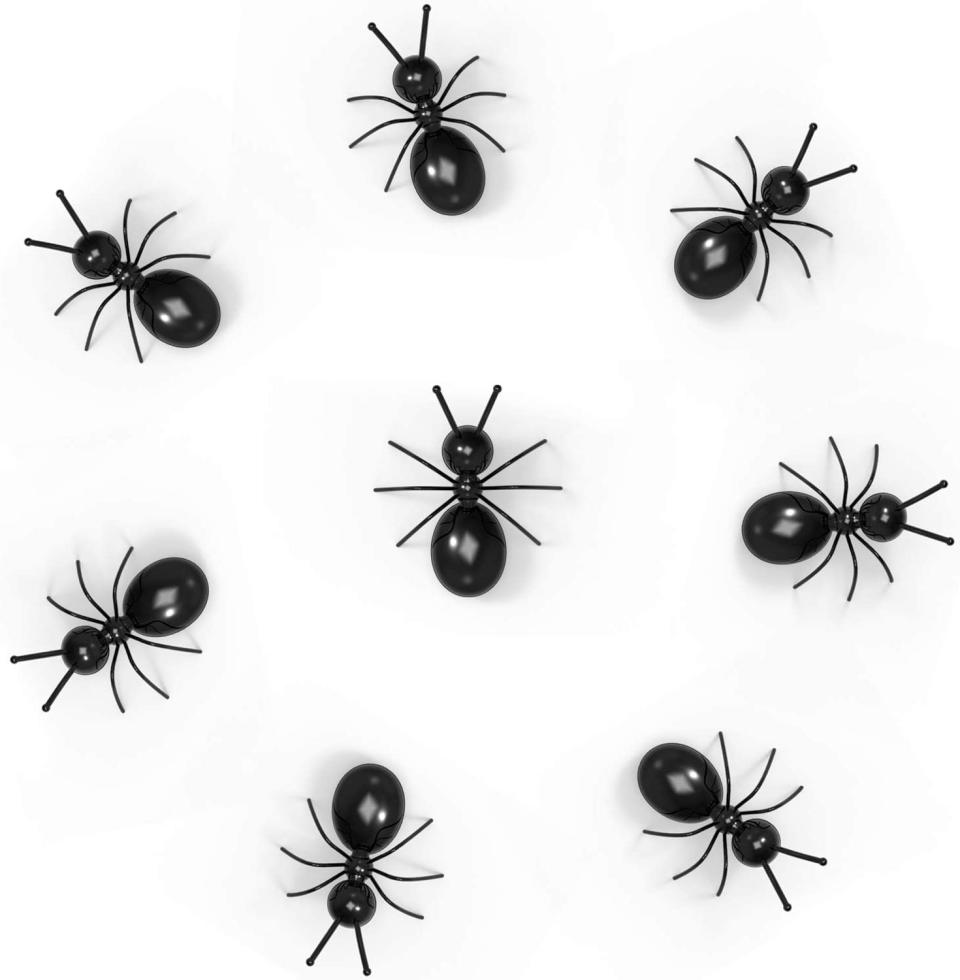 Ant Magnets