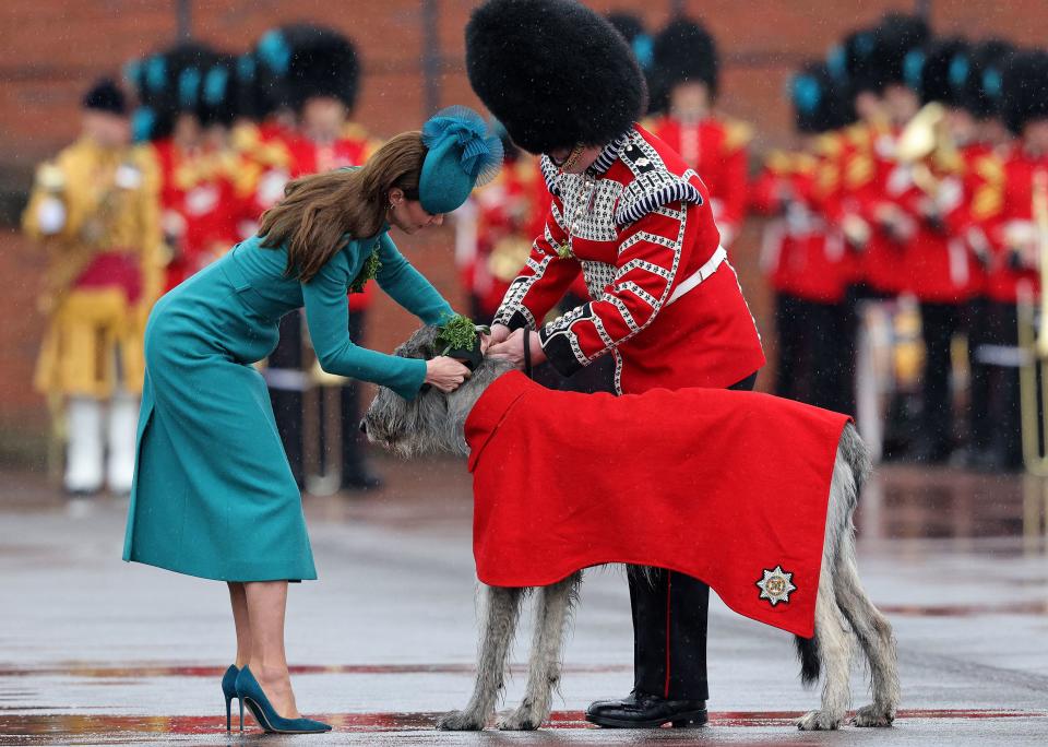 Princess of Wales presents a traditional sprig of shamrock to the mascot of the 1st Battalion Irish Guards