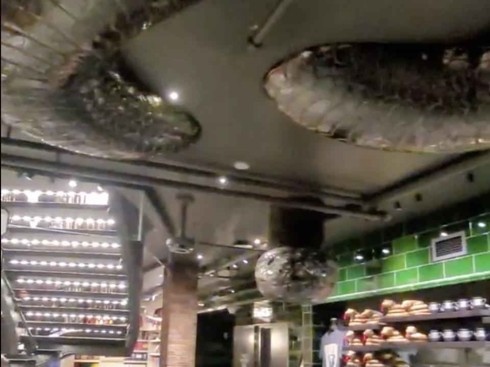 harry potter store tour nagini