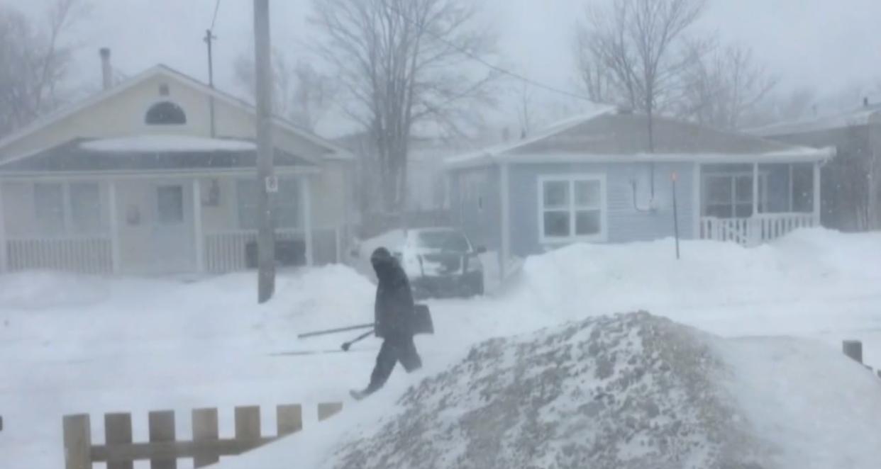 The view from one housebound reporter's windows in St. John's. (Zach Goudie/CBC - image credit)