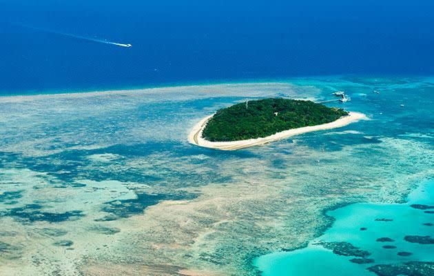 Green Island on The Great Barrier Reef. Photo: Getty