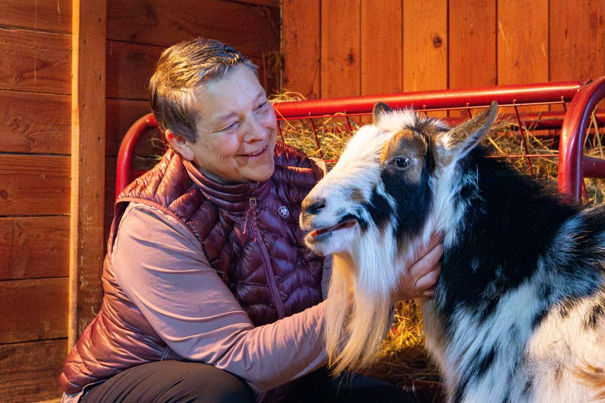 Waneva LaVelle pets Finn, one of her goats, inside the Pure Grace Farm barn in Hubbard on Friday.