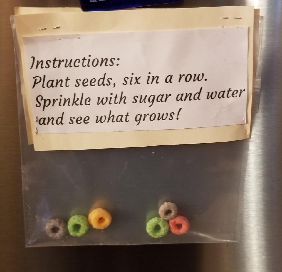 Fred Keller, the local historian in Sussex, has a tradition with his grandchildren and great grandchildren. If you plant seeds inside of Cheerios or Fruit Loops, and sprinkle with sugar and water, doughnuts will grow. Keller tells them that and then he puts doughnuts on a tree during the night.