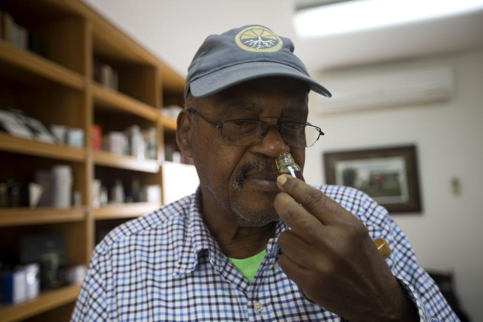 In this May 27, 2019 photo, Pierre Leger smells a perfume at the Frager's vetiver factory, in Les Cayes, Haiti. Haiti produces more than 70 tons of vetiver oil a year, surpassing Indonesia, China, India, Brazil and the neighboring Dominican Republic. (AP Photo/Dieu Nalio Chery)