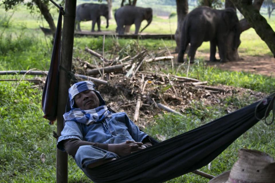 Lun, a mahout, rests in a hammock near his elephants at an elephant camp at the Anantara Golden Triangle resort in Golden Triangle, northern Thailand.