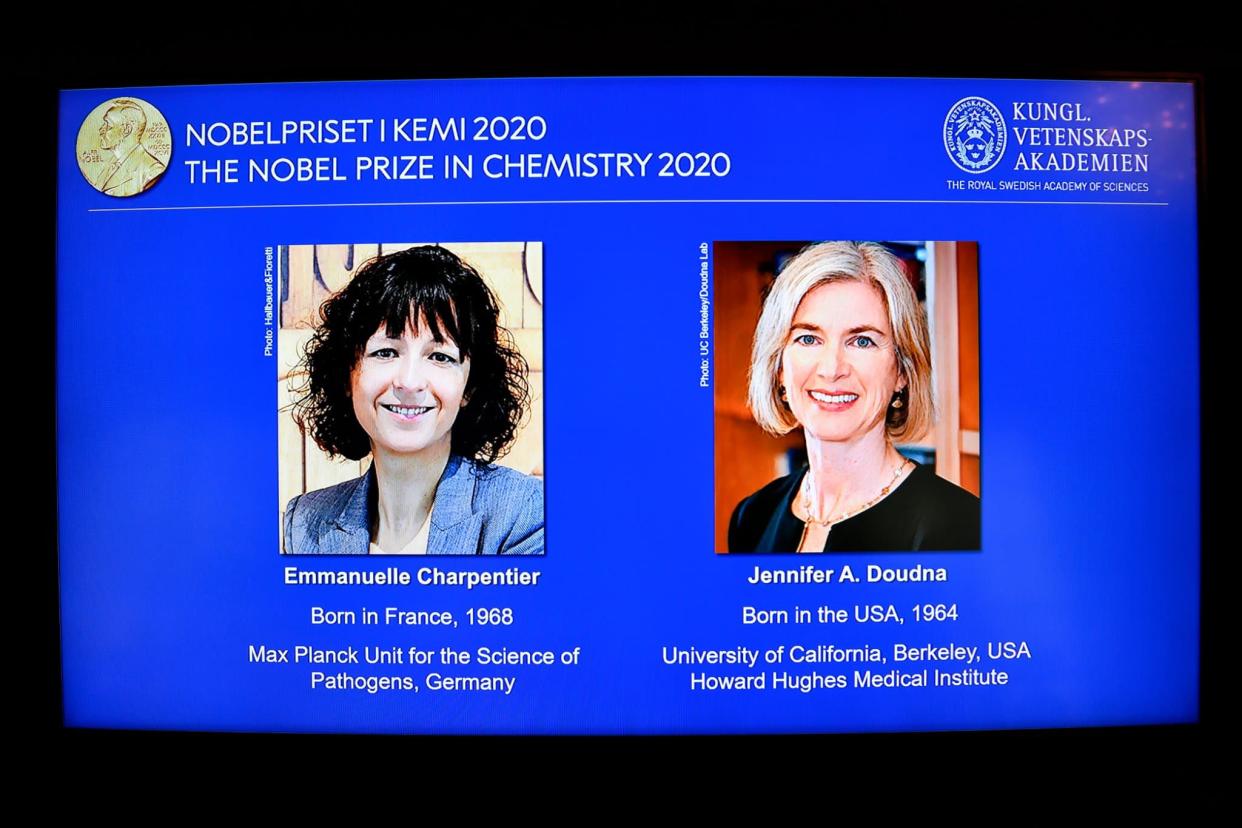 Deux femmes ont remporté le prix Nobel de chimie 2020, dont une Française.  - Henrik Montomery - TT News Agency