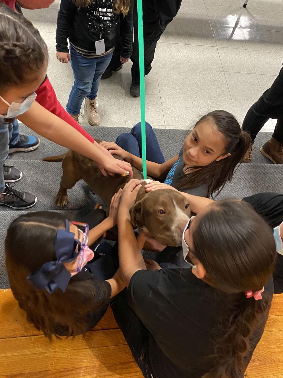 “Sonny” and “Cher” – dogs from the Amarillo Animal Management and Welfare Department – greet students from Glenwood Elementary in recognition of the school’s “Dimes for Dogs” fundraiser.