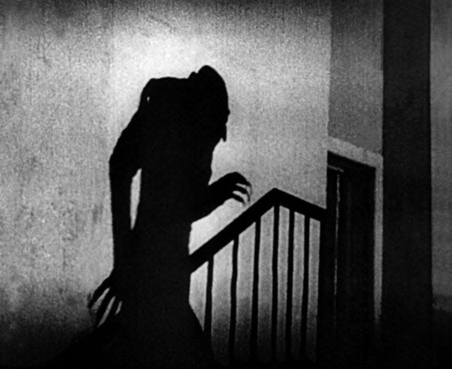 On Saturday, Oct. 28, the Narrows Center for the Arts will present "Nosferatu" with a live band.