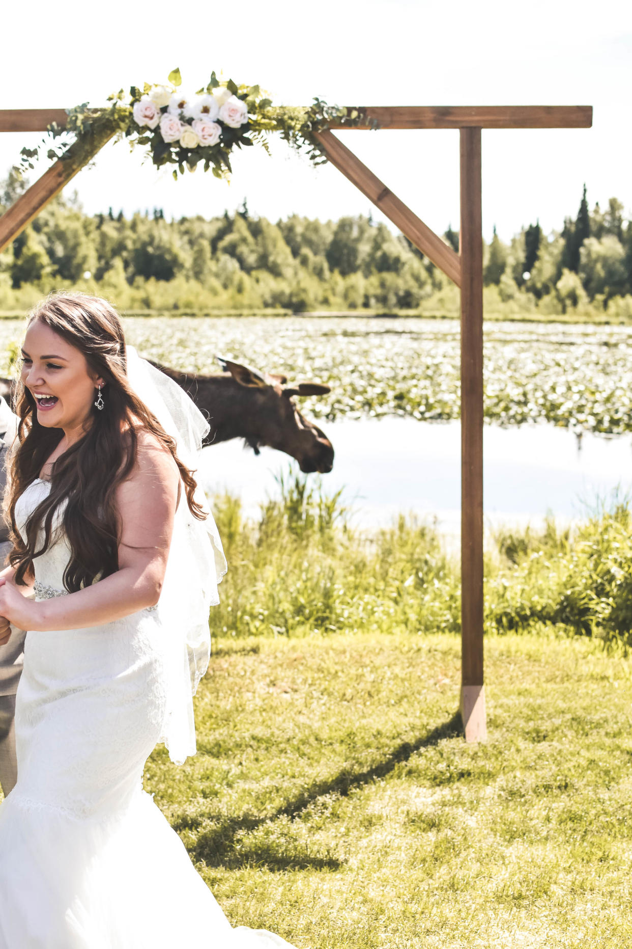 Moose crashes the wedding of an Alaskan couple. (Photo: Bria Celest/celestimages.com)