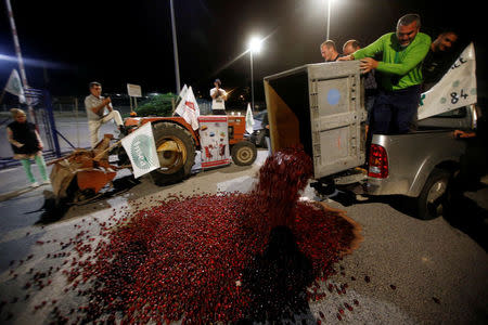 French farmers, members of the FNSEA, the country's largest farmers' union, overturn a crate of cherries on the road as they block the Total biodiesel refinery at La Mede near Fos-sur-Mer, France June 11, 2018. REUTERS/Jean-Paul Pelissier