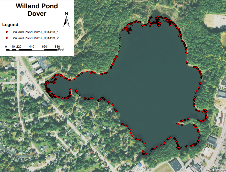 A New Hampshire Department of Environmental Services-proposed herbicide treatment plan will be used to kill milfoil growth in Willand Pond in Dover. This graphic shows the level of milfoil growth in the pond.